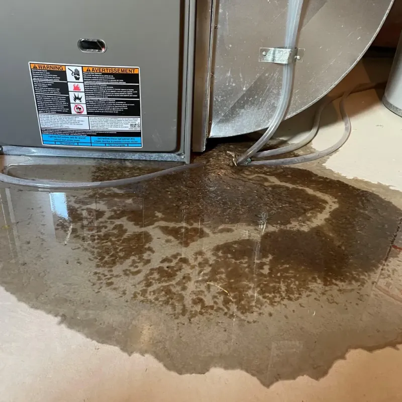 Appliance Leak Cleanup in Scottsville, KY